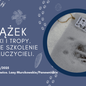 ZALĄŻEK - szyszki i tropy. Zimowe Szkolenie terenowe dla nauczycieli