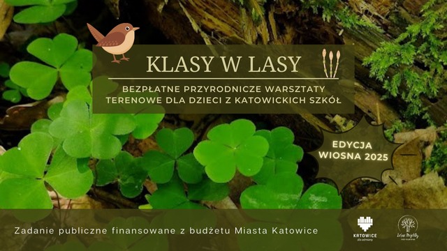 489772665_1253186776810888_2536184931169436209_n