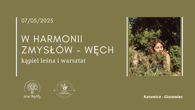 grafika wydarzenia W harmonii zmysłów