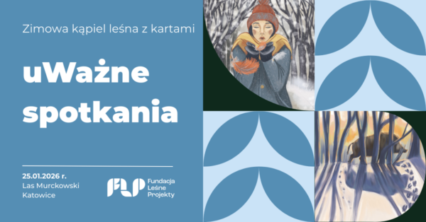 GRAFIKA – SZKOLENIE 3