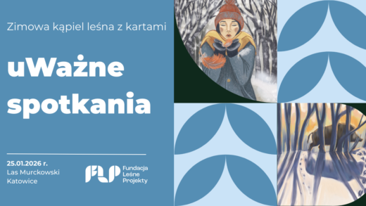 Zimowa kąpiel leśna z kartami, 25.01.2026 r., Las Murckowski Katowice, Fundacja Leśne Projekty