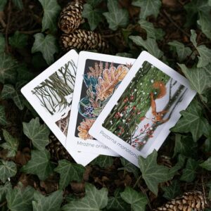 Leśny Kalendarz Zimowy