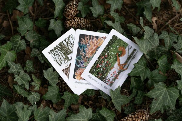 Leśny Kalendarz Zimowy