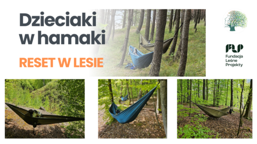 Dzieci uczestniczące w warsztatach Dzieciaki w hamaki w lesie w Katowicach