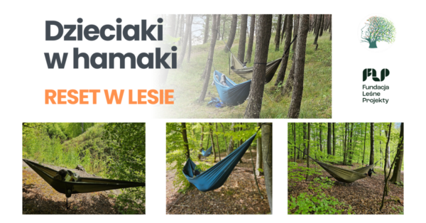 Dzieci uczestniczące w warsztatach Dzieciaki w hamaki w lesie w Katowicach
