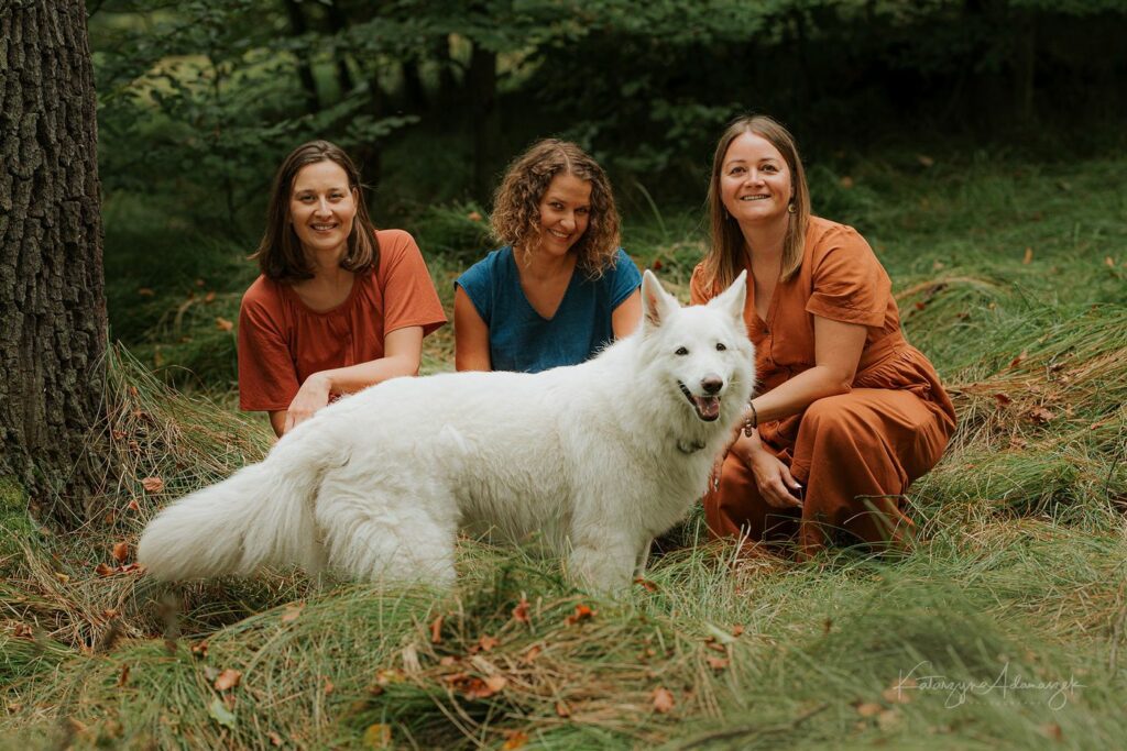 Fundacja Leśne Projekty