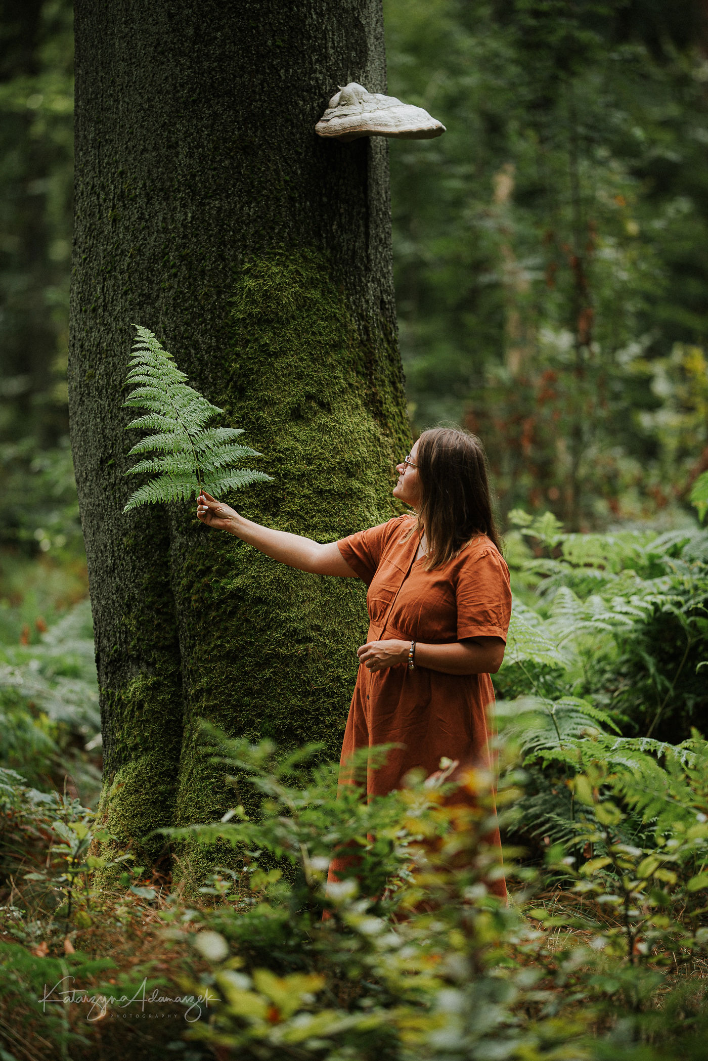 Las Murckowski w Katowicach