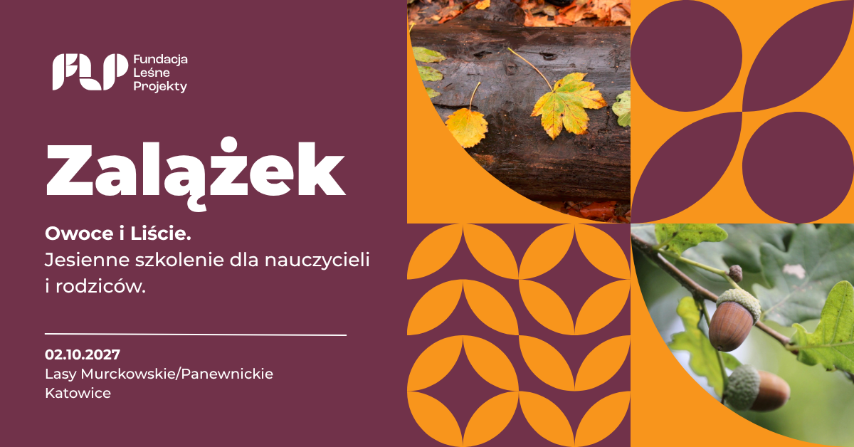 szkolenie dla nauczycieli i rodziców