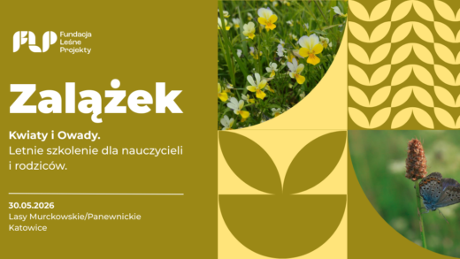 Zalążek - kwiaty i owady. Letnie szkolenie dla nauczycieli i rodziców w Katowicach