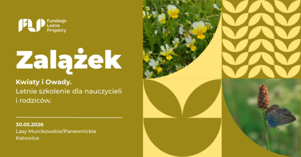 Letnie szkolenie dla nauczycieli i rodziców