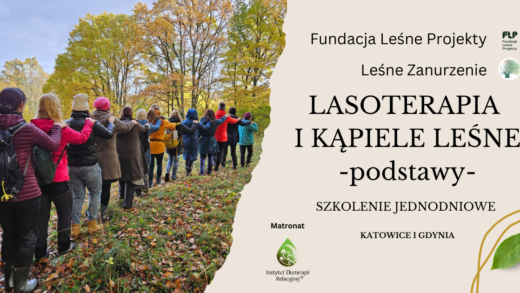 lasoterapia i kąpiele leśne szkolenie