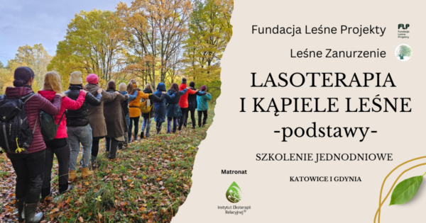 Oferta jednodniowa lasoterapia i kąpiele leśne szkolenie