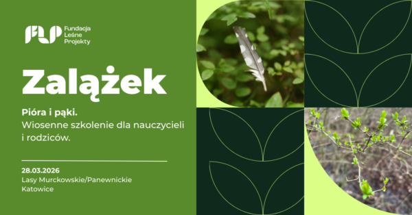 szkolenie dla nauczycieli