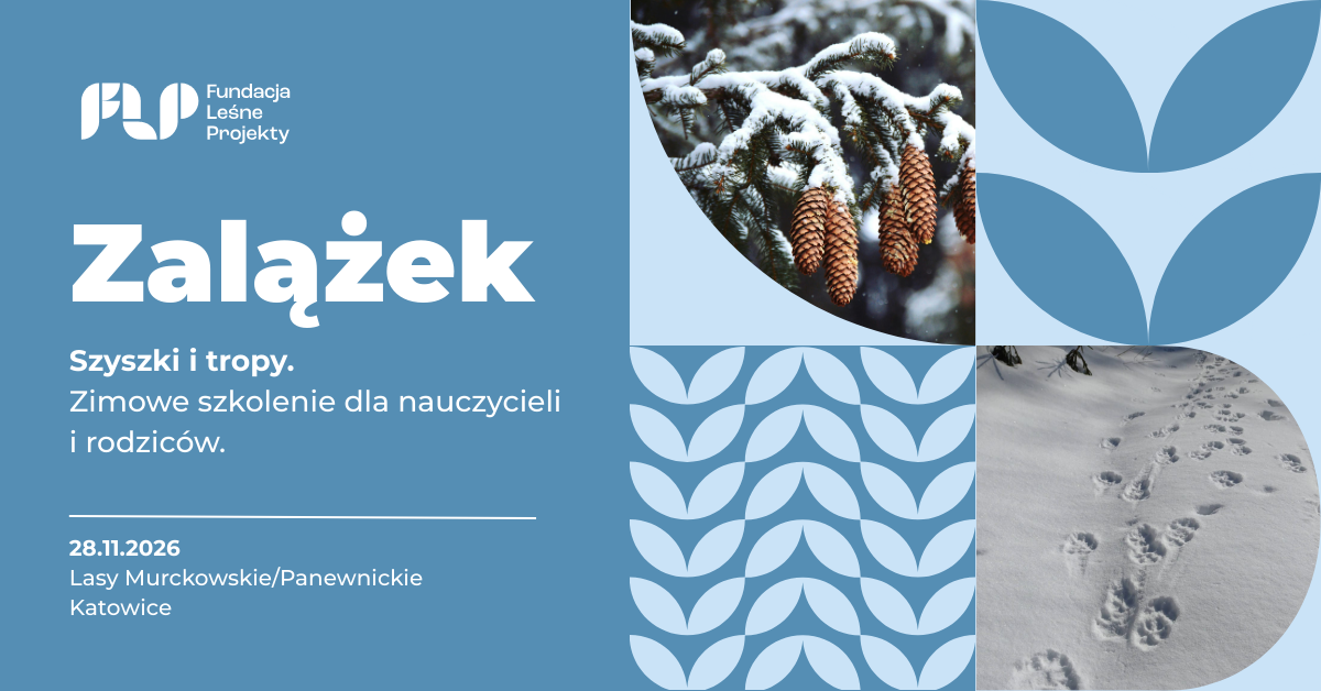 Zimowe szkolenie dla nauczycieli i rodziców