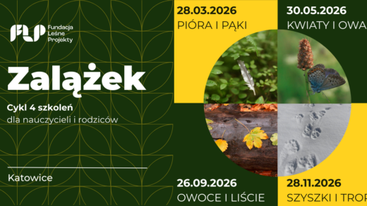 szkolenia dla nauczycieli i rodziców