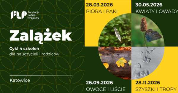 szkolenia dla nauczycieli i rodziców