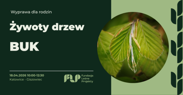 KWIECIEN – WYPRAWA_2 wyprawa dla rodzin