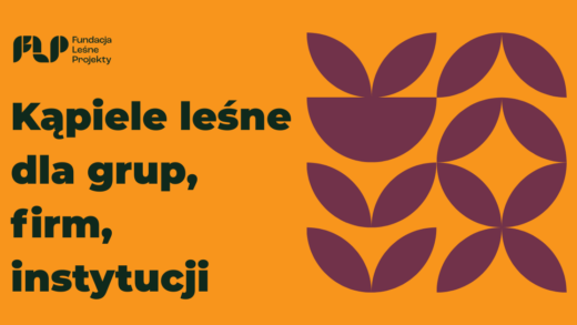 Kąpiele leśne dla grup, firm Katowice, Mysłowice