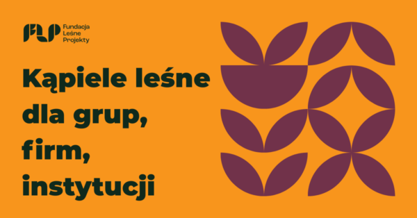 Kąpiele leśne dla grup Kąpiele leśne dla grup