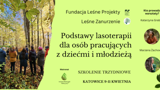 Lasoterapia dla dla nauczycieli i osób pracujących z dziećmi i młodzieżą